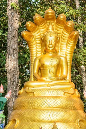 the gold buddha statue at the temple in Thailandの写真素材