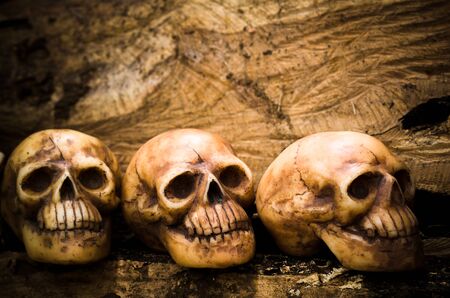 still life human skulls with light painting on wood backgroundの写真素材