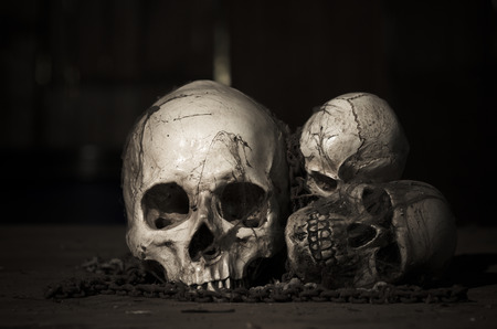 halloween skull on dark background idea for halloween and other horror purposesの写真素材