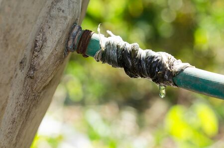 gorgeous water drop with green bokeh on the day timeの写真素材