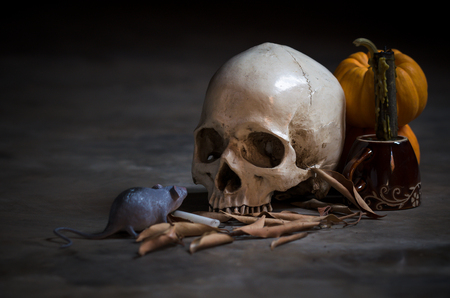 still life skull with yellow pumkin and rat in the old dayの写真素材