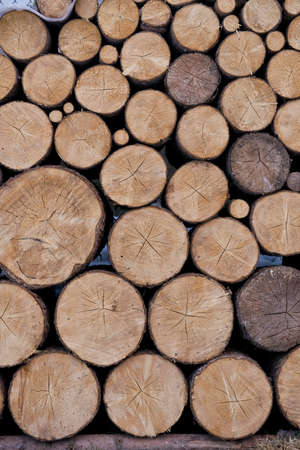 particular of lumber ready to be burnedの写真素材