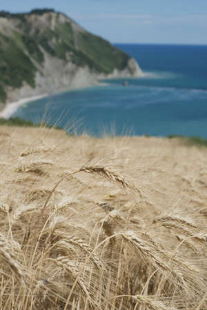 The bay of Portonovo in the Conero Riviera, Italyの写真素材