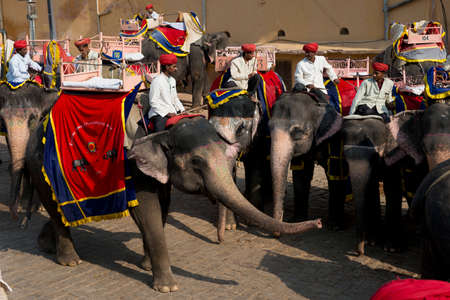 AMBER, INDIA - 20 OCTOBER 2013 - Unidentified mahouts and their elephants near the Amber Fort, magnificent fortified palace  not far from Jaipur, Rajasthan, India  This maharajah residence situated upon Maota  Lake became in 2013 Unesco world heritage sitのeditorial素材