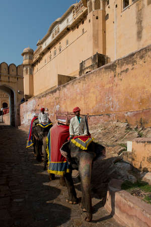 AMBER, INDIA - 20 OCTOBER 2013 - Unidentified mahouts and their elephants near the Amber Fort, magnificent fortified palace  not far from Jaipur, Rajasthan, India  This maharajah residence situated upon Maota  Lake became in 2013 Unesco world heritage sitのeditorial素材