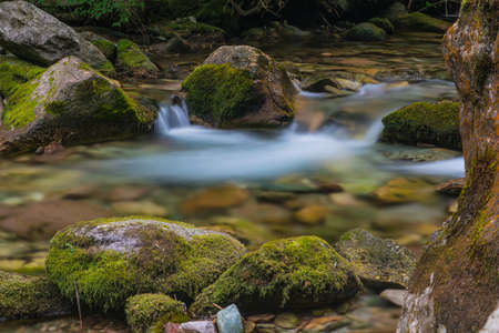Alpine river in Valle Pesio, Piedmont
