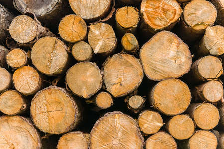 Piece of lumber ready to be burned