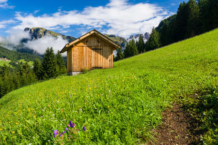 Idyllic mountain panorama during the summer season in Fassa Valley, near Pozza di Fassaの写真素材