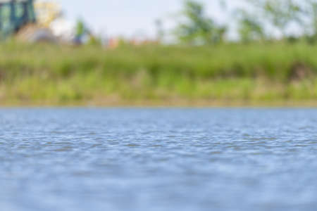 Blurry background of a pond and rushesの写真素材