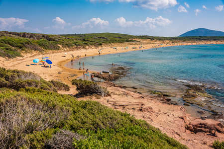 Goldy beach of Porto Ferro near Alghero in Sardiniaの写真素材