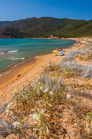 Goldy beach of Porto Ferro near Alghero in Sardiniaの写真素材