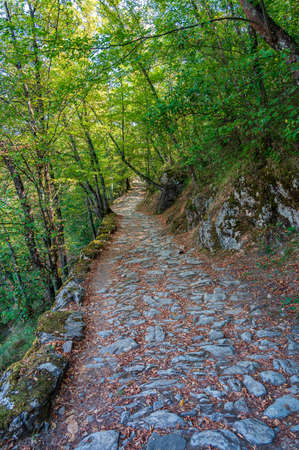Mule track built for the Pilgrimage from Rapallo to the Sanctuary of Our Lady of Montallegro on the italian Rivieraの写真素材