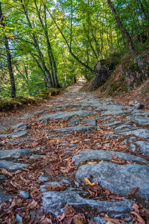 Mule track built for the Pilgrimage from Rapallo to the Sanctuary of Our Lady of Montallegro on the italian Rivieraの写真素材