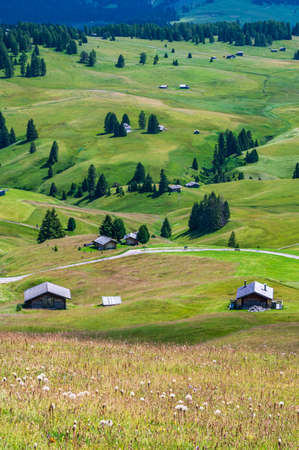 Panoramic view of Seiser Alm with meadows and mountain hut during the summer seasonの写真素材