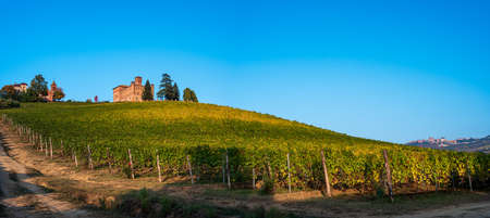 The castle of Grinzane Cavour in the vineyard of Langhe an Unesco World Heritage SIteのeditorial素材