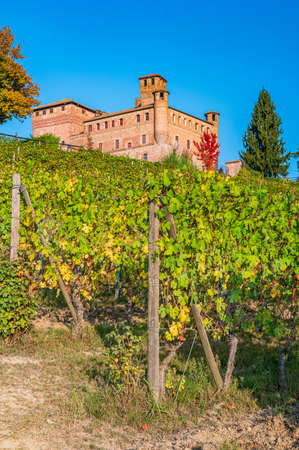 The castle of Grinzane Cavour in the vineyard of Langhe an Unesco World Heritage SIteのeditorial素材