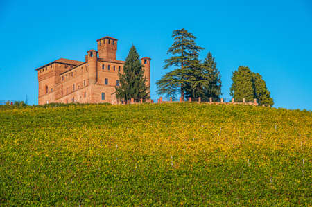 The castle of Grinzane Cavour in the vineyard of Langhe an Unesco World Heritage SIteのeditorial素材