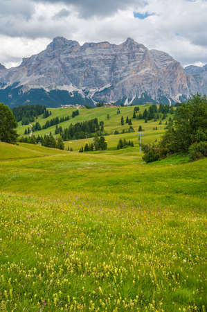 The plateau of Pralongia in the heart of Dolomites, between Corvara and San Cassianoの写真素材
