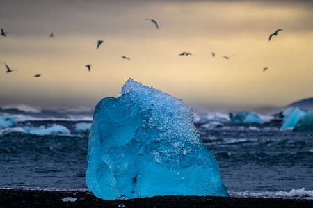 Icebergs coming from Vatnajokull located on the Diamond Beach near Jokulsarlon, in South Icelandの写真素材