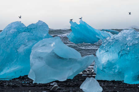 Icebergs coming from Vatnajokull located on the Diamond Beach near Jokulsarlon, in South Icelandの写真素材