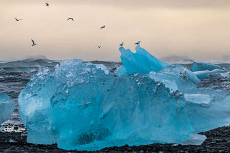 Icebergs coming from Vatnajokull located on the Diamond Beach near Jokulsarlon, in South Icelandの写真素材