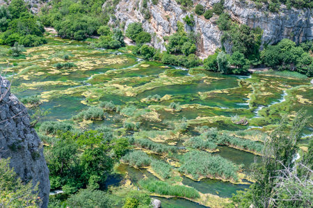 Amazing Nature Landscape in famous Krka National Park of Croatia with its wonderful waterfallsの写真素材