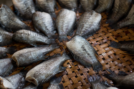 gourami dry fish for cooking . little animals dried with sun light . heap of cut meat prepared . cuisine background using .の写真素材