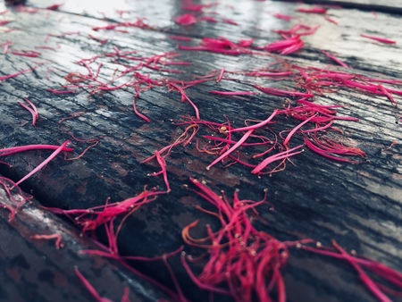 pink petal on wooden table in autumn .の写真素材