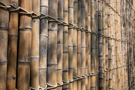 bamboo wall background .の写真素材