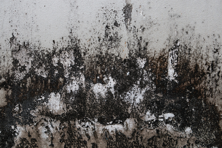 abstract dirty wall background .の写真素材