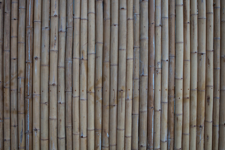 bamboo wall background .の写真素材