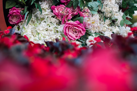 fresh rose flowers bouquet decoration in natural garden , blurred beautiful background for wedding ceremony . exotic various type of bundle blossom . romantic scenic with empty copy space .の写真素材
