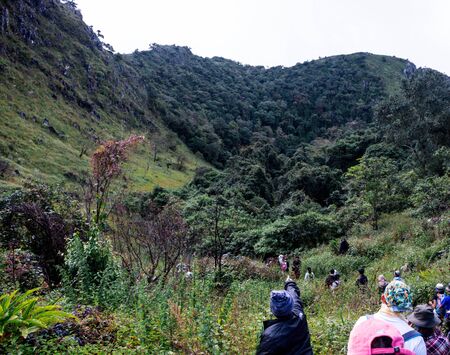 many traveler walk straight on way follow the guide in forest on the mountain . adventure freedom lifestyle . climbers climbing the hill .のeditorial素材