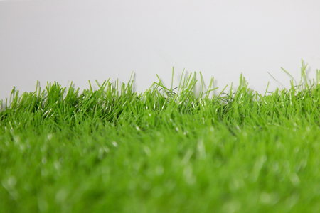 green grass field and white background