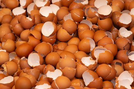 egg crack shell background , organic broken chicken eggshell .