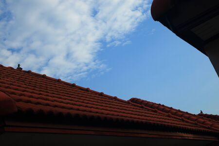 bird on roof and blue sky and white alto cumulus cloudy .