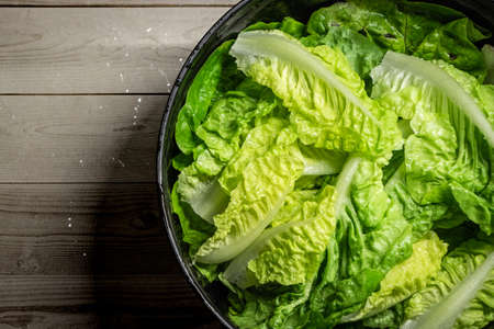 Detail of freshly washed lettuce plants over wood tableの写真素材