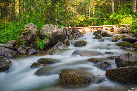 Small waterfall in a forest river with silky water around the rocks in the stream. Long exposureの写真素材