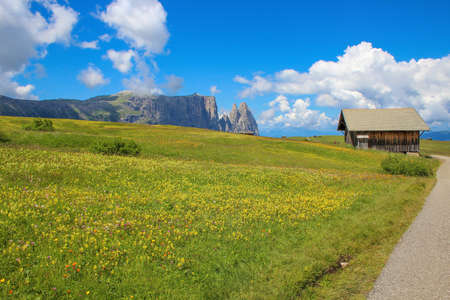 Sciliar (Schlern) Mount is a mountainous group of the Dolomites located in Trentino-Alto Adige, in Bolzano province, Italy. Here seen from Alpe di Siusi.のeditorial素材