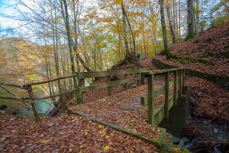 Wooden bridge on the pathway of the lake of Brugneto in autumn, province of Genoa, Antola Park, Italyの写真素材