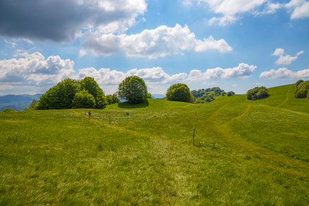 Natural landscape in springtime on Pian della Cavalla mount in Liguria, in the municipality of...