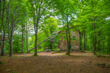 Isolated house under a beech forest, province of Genoa, Italyの写真素材