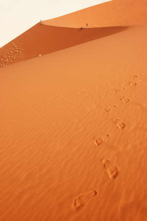 Dune in the Namib Desert, Sossusvlei, Namibiaの写真素材