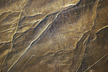 Monkey, Nazca Lines in Peruの写真素材