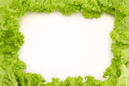 Frame made of salad with white backgroundの写真素材