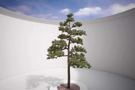 Tree in construction with gravel and sunlightの写真素材