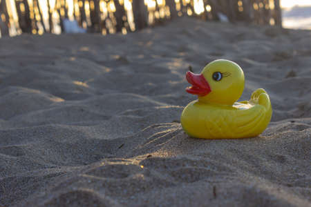 Little yellow plastic duck on the sand on a sunny day.の写真素材