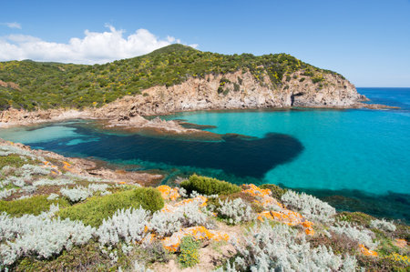 Su Cardulinu beach, Chia, Domus de Maria, Cagliari district, Sardinia, Italy, Europe