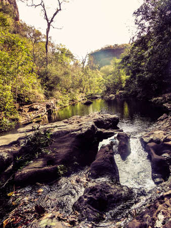 River in the jungle, Sri Lanka. Vintage filter. Toned.の写真素材