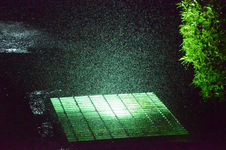 Water drops on air with light and a bush at nightの写真素材